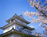 瀬戸内海と桜のハーモニーに魅了される、春の香川旅
